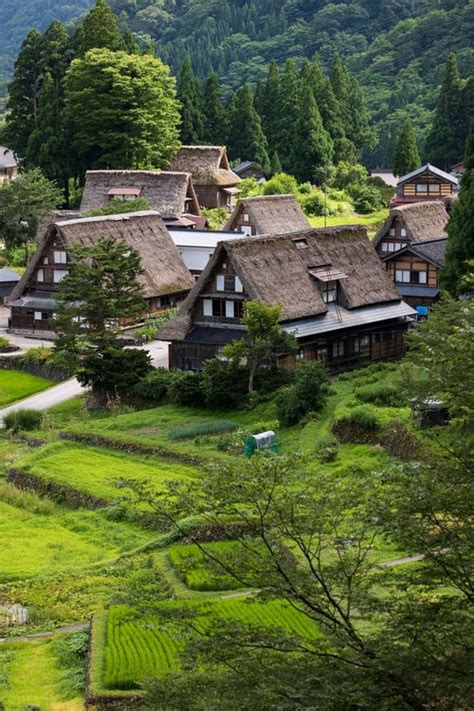 墓地 画像|山間にひっそり佇む墓地｜フリー素材のぱくた